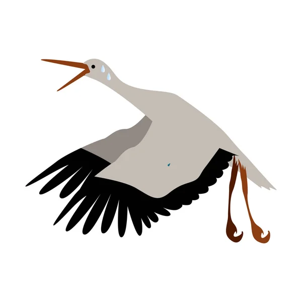 Izolované čáp pták — Stockový vektor