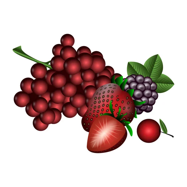 Conjunto de frutas — Vector de stock