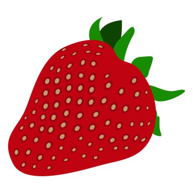 İzole çilek illüstrasyon