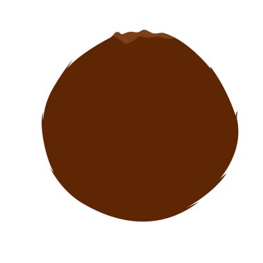 İzole Hindistan cevizi illüstrasyon