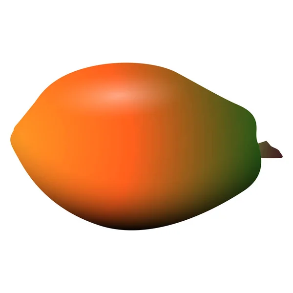 Isolated colored papaya — Stock Vector
