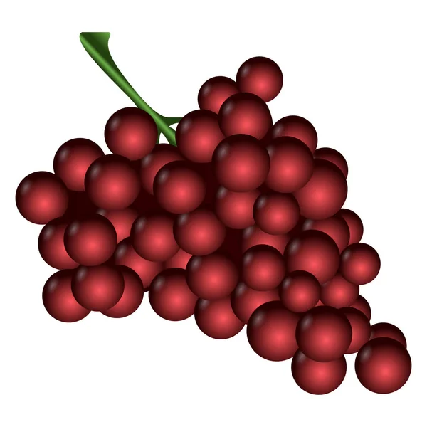Geïsoleerde gekleurde blackberry — Stockvector
