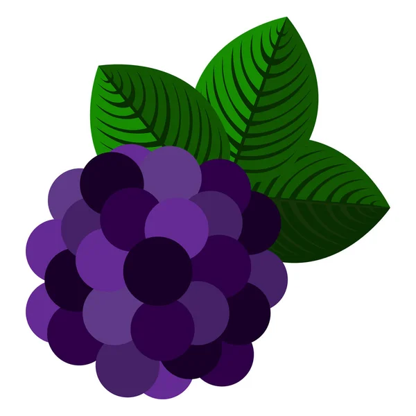 Ilustración de uvas aisladas — Vector de stock