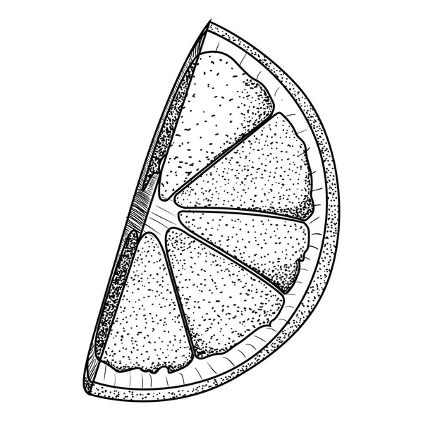 Jahrgang Scheibe einer Orange — Stockvektor