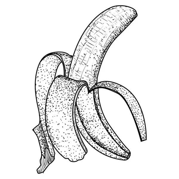 Izolované vintage oloupaný banán — Stockový vektor