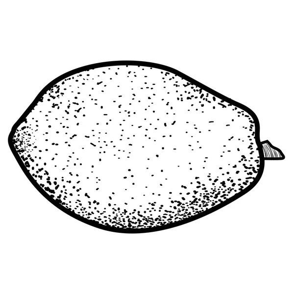 孤立的老式木瓜 — 图库矢量图片
