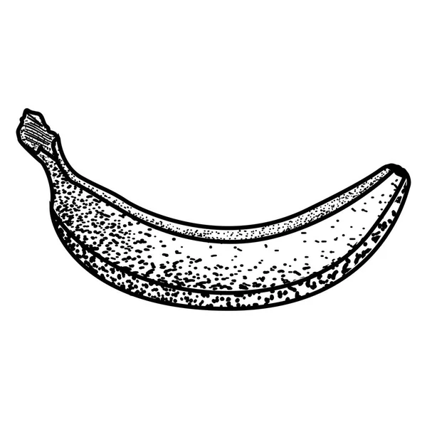 Izolované vintage banán — Stockový vektor
