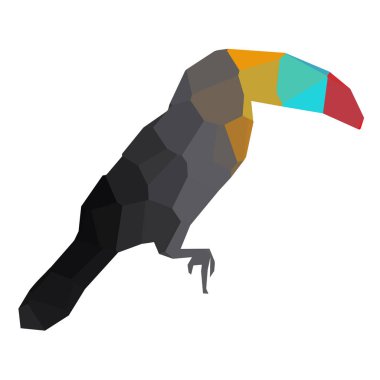 Düşük Poli toucan