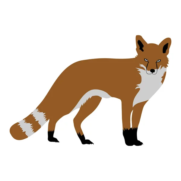 Isolerade fox skiss — Stock vektor