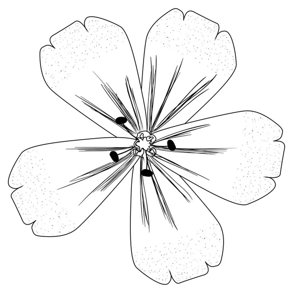 Isolerade blomma skiss — Stock vektor