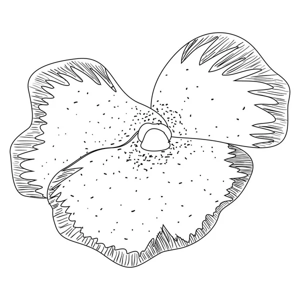Bosquejo de flores aisladas — Archivo Imágenes Vectoriales