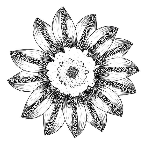 Ескіз ізольованих квітка — стоковий вектор