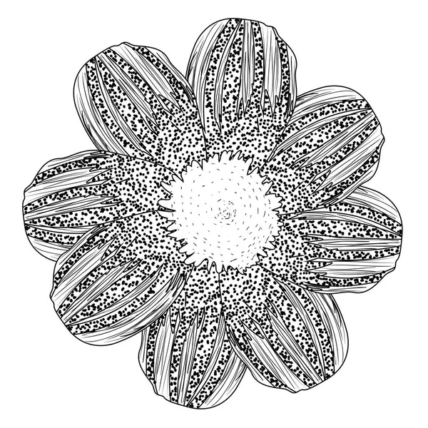 Isolerade blomma skiss — Stock vektor