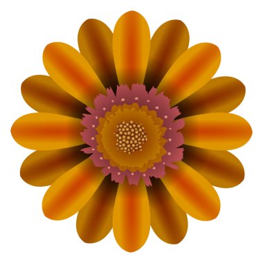 İzole renkli çiçek