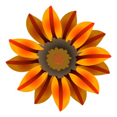 İzole renkli çiçek