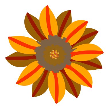 İzole renkli çiçek