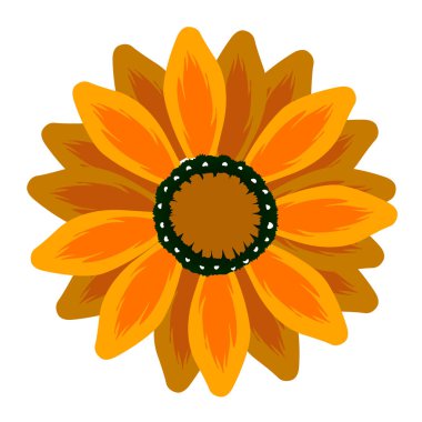 İzole renkli çiçek