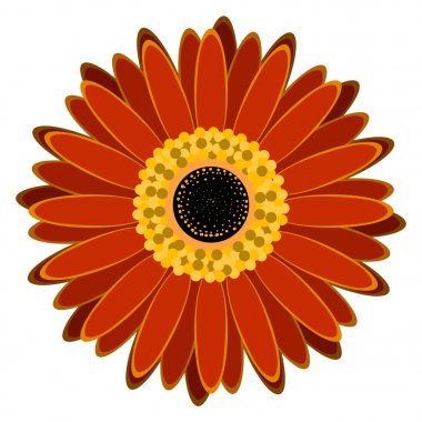 İzole renkli çiçek