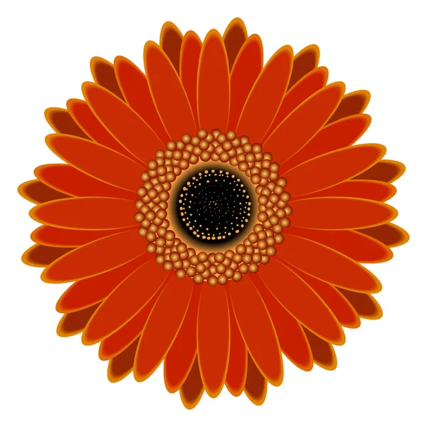 Απομονωμένη χρώματος λουλουδιών — Διανυσματικό Αρχείο
