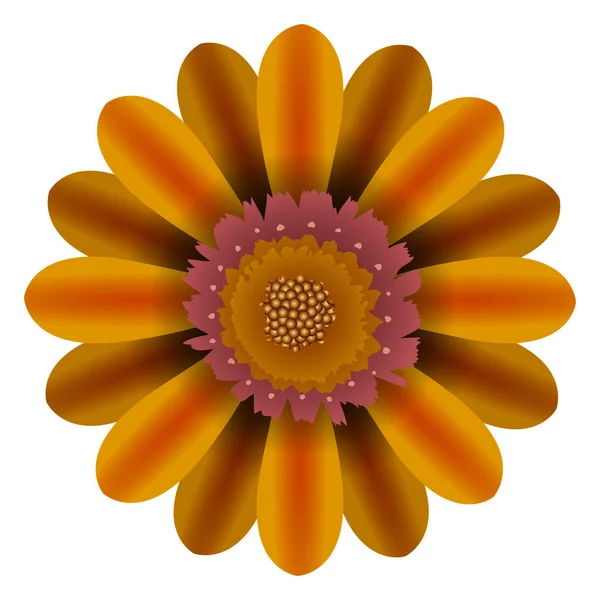 孤立した色の花 — ストックベクタ