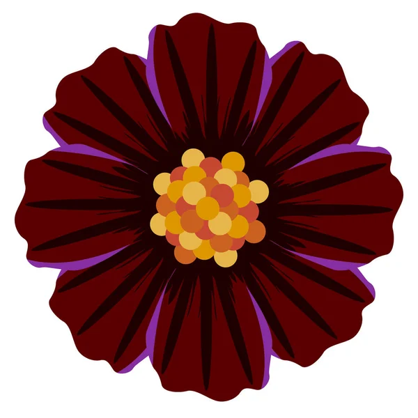 Flor de color aislado — Vector de stock