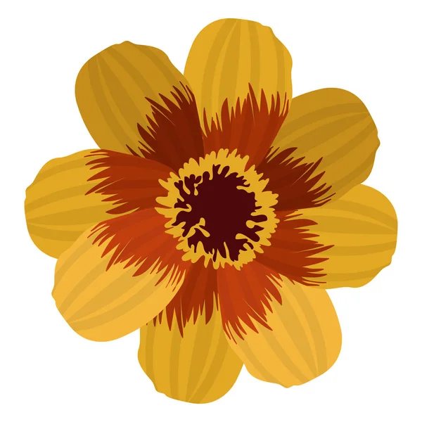 Flor de color aislado — Vector de stock