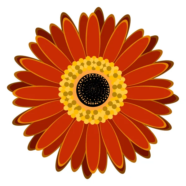 İzole renkli çiçek