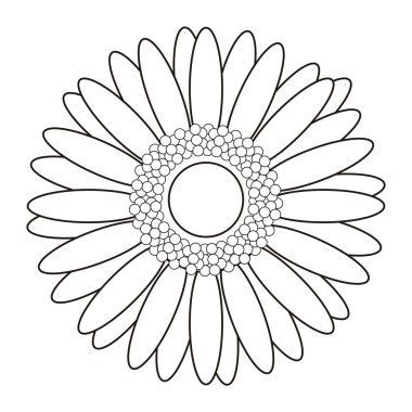 İzole çiçek anahat