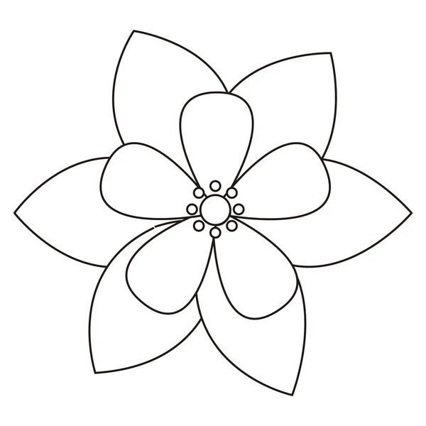 Esquema de flores aisladas — Vector de stock