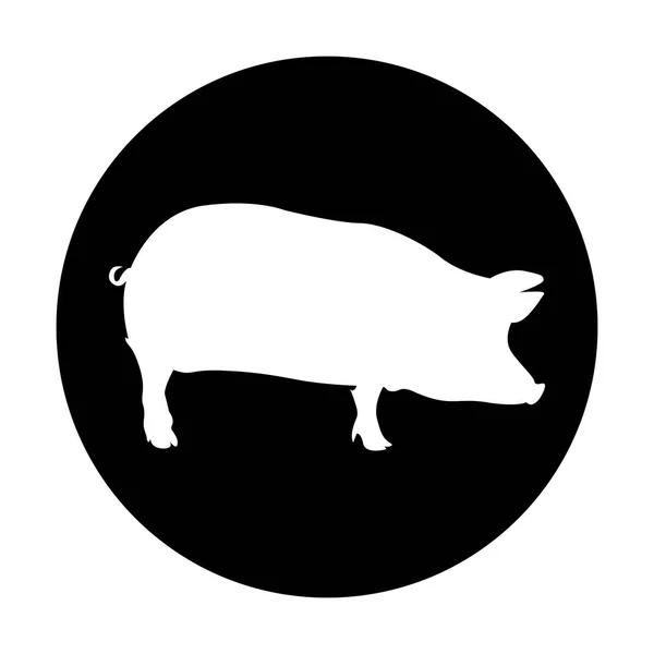 고립 된 돼지 레이블 — 스톡 벡터