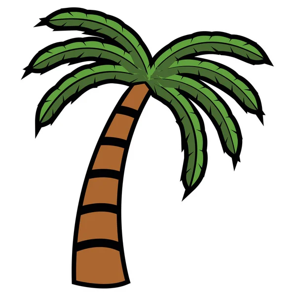 Palmeira isolada — Vetor de Stock