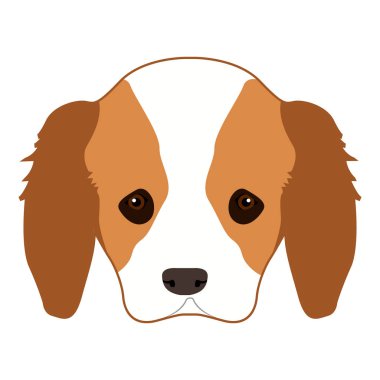 Köpek Yüzü Simgesi