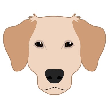 Köpek Yüzü Simgesi