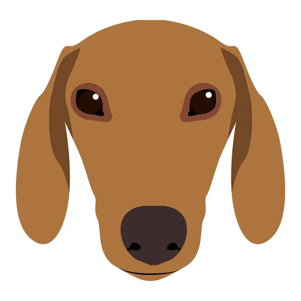 Icona faccia cane — Vettoriale Stock
