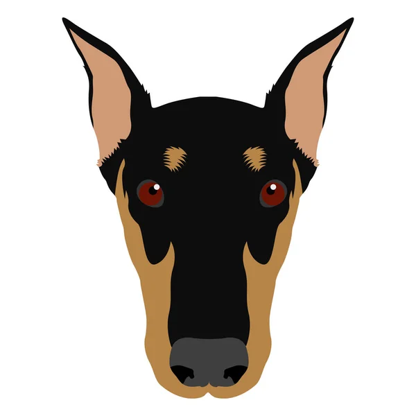 Ikona twarzy psa — Wektor stockowy