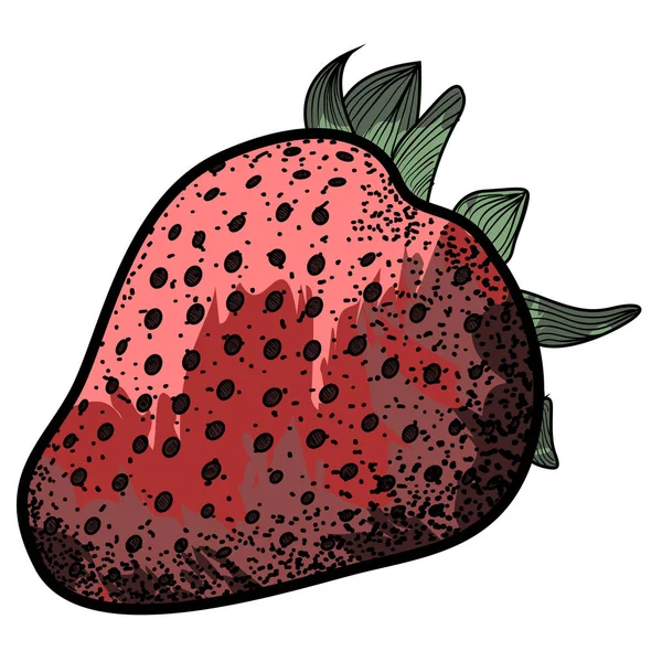 Isolierte Jahrgangs-Erdbeere — Stockvektor