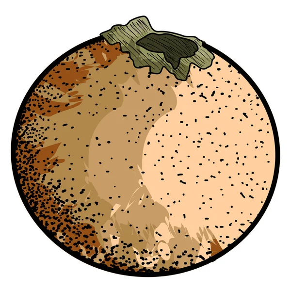 Yalıtılmış bağbozumu lulo