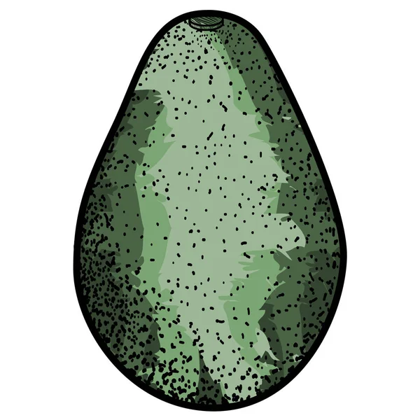 Isolierte vintage avocado — Stockvektor
