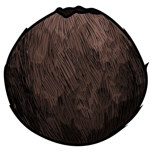 Yalıtılmış bağbozumu Hindistan cevizi