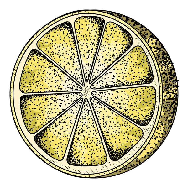 Limão vintage isolado — Vetor de Stock