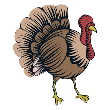 İzole Türkiye illüstrasyon