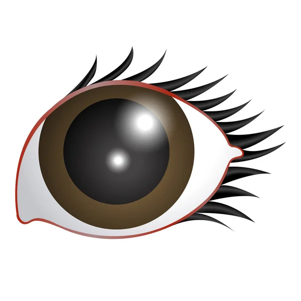 Kosmetické oční obraz — Stockový vektor