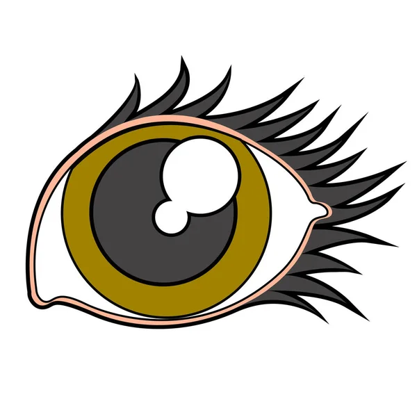 Schoonheid oog afbeelding — Stockvector