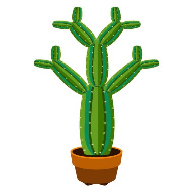 Şirin kaktüs simgesi