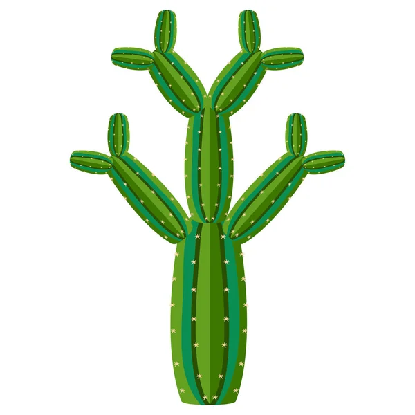 cacto planta isolado ilustração vetorial. modelo de padrão sem