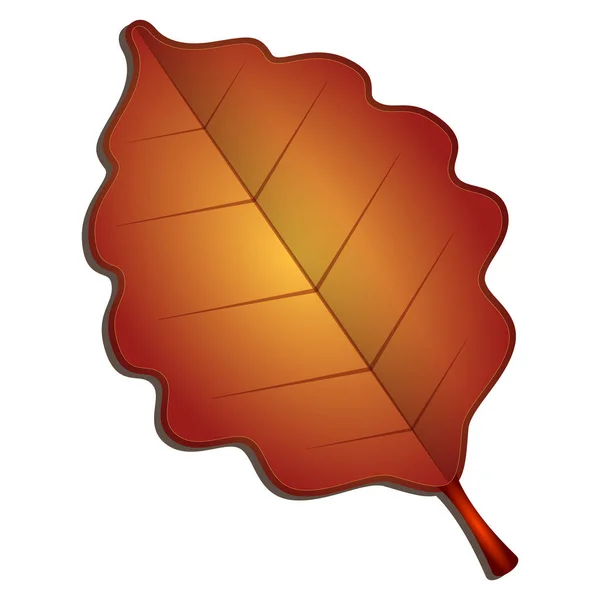 Изолированный осенний лист — стоковый вектор