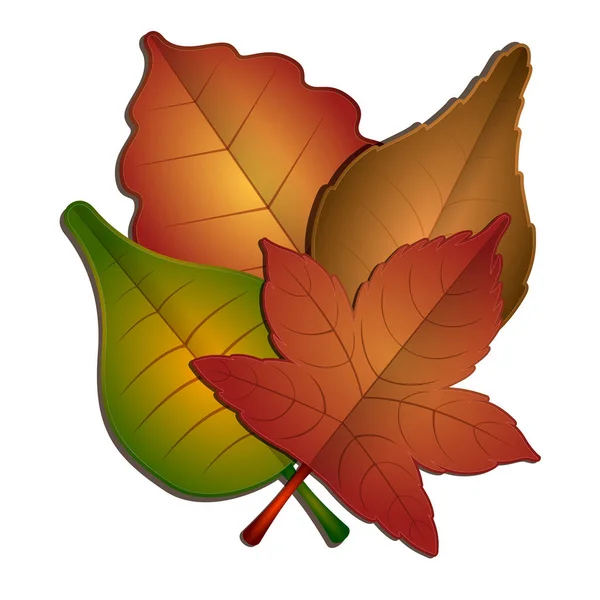 Ensemble de feuilles d'automne — Image vectorielle