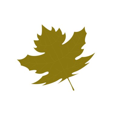 İzole edilmiş kuru yaprak