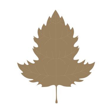 İzole edilmiş kuru yaprak