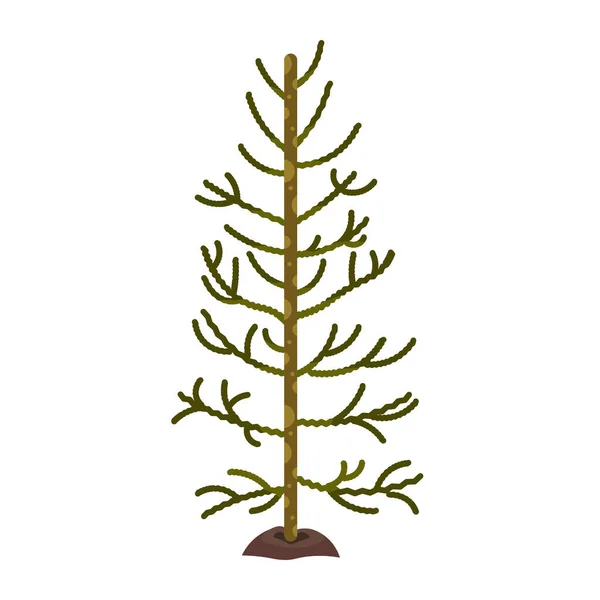 Geïsoleerde boom pictogram — Stockvector